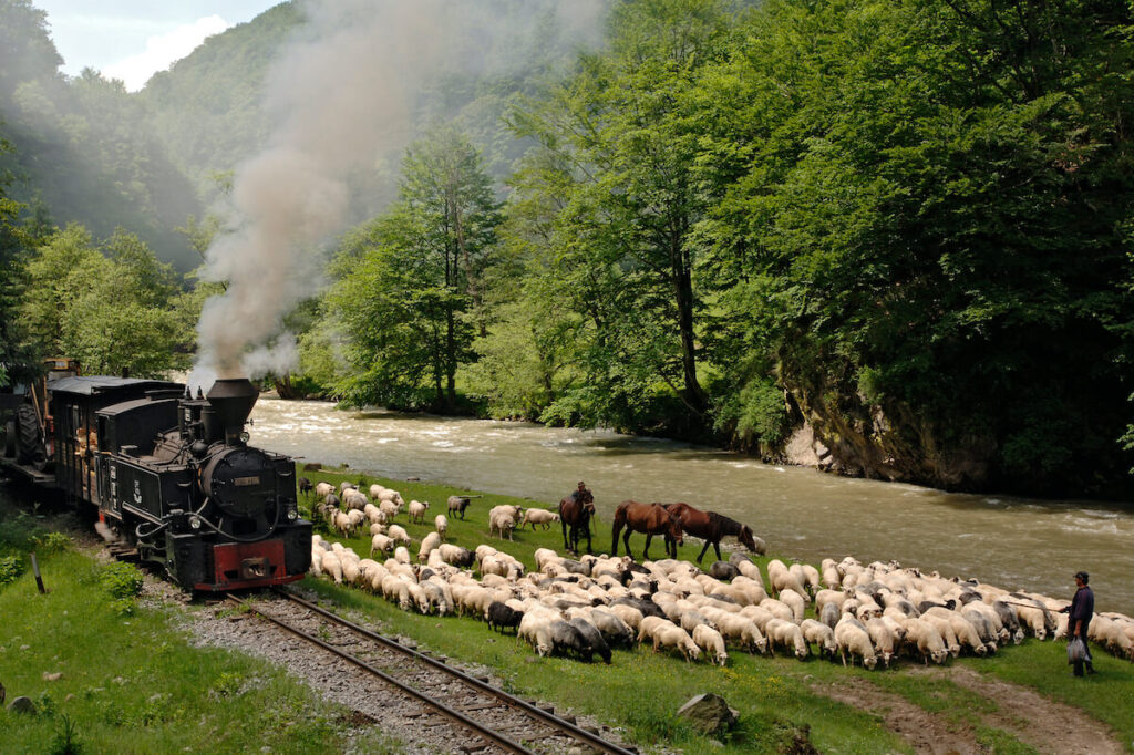 Mocanaița-Maramureș. Excursii in Romania cu arintur.md Transport Balti