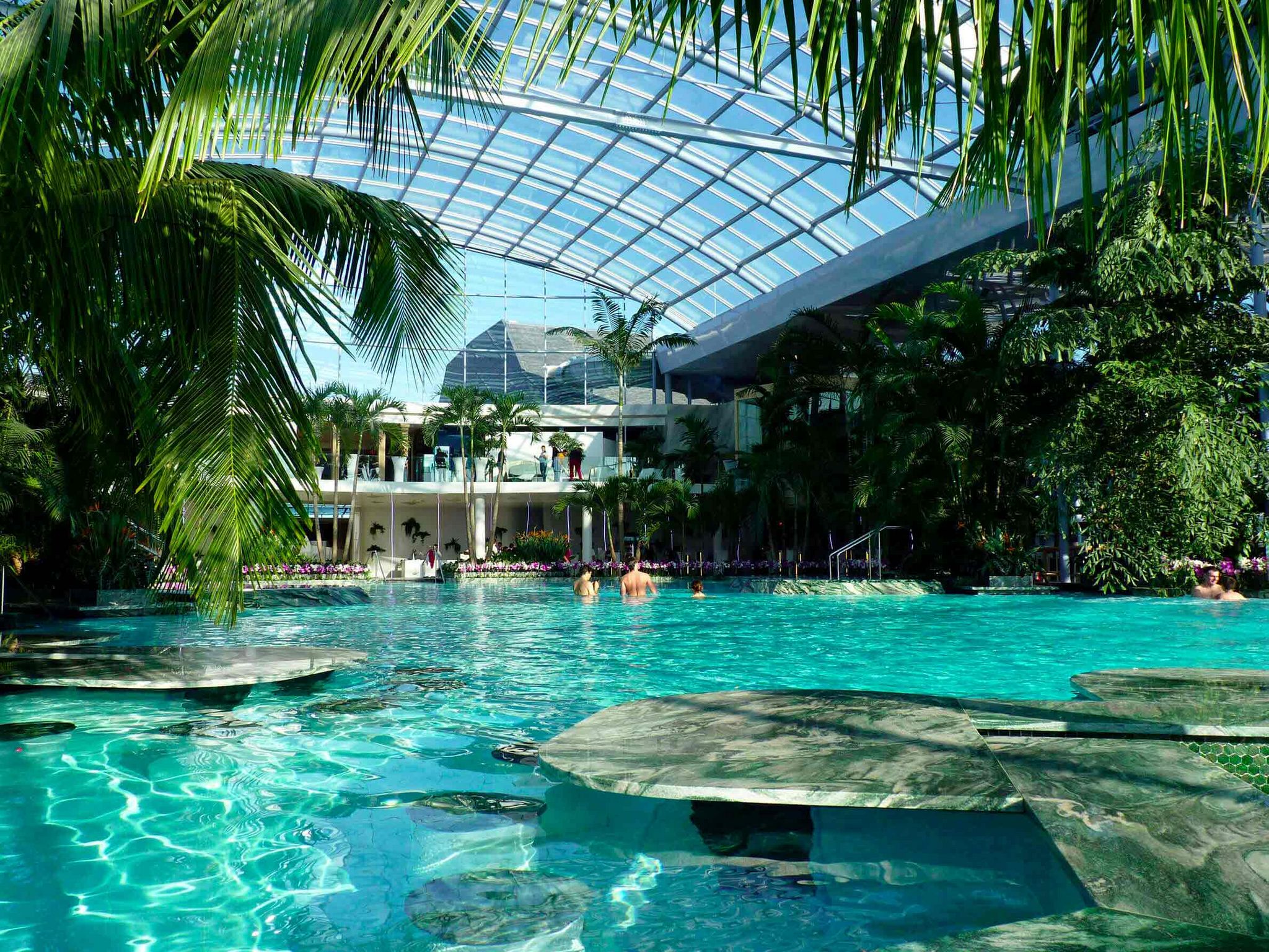 Therme București cu piscine și vegetație tropicală