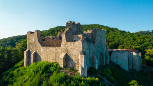 Cetatea Neamț + Humulești/Ion Creangă + Zimbrăria Dragoș Vodă + Parcul Natural Vânători-Neamț,