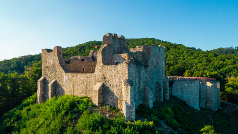Cetatea Neamț + Humulești/Ion Creangă + Zimbrăria Dragoș Vodă + Parcul Natural Vânători-Neamț,