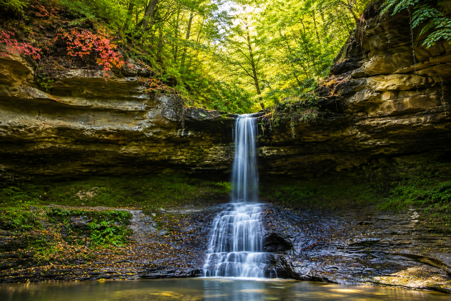 Cascada Saharna în defileul împădurit