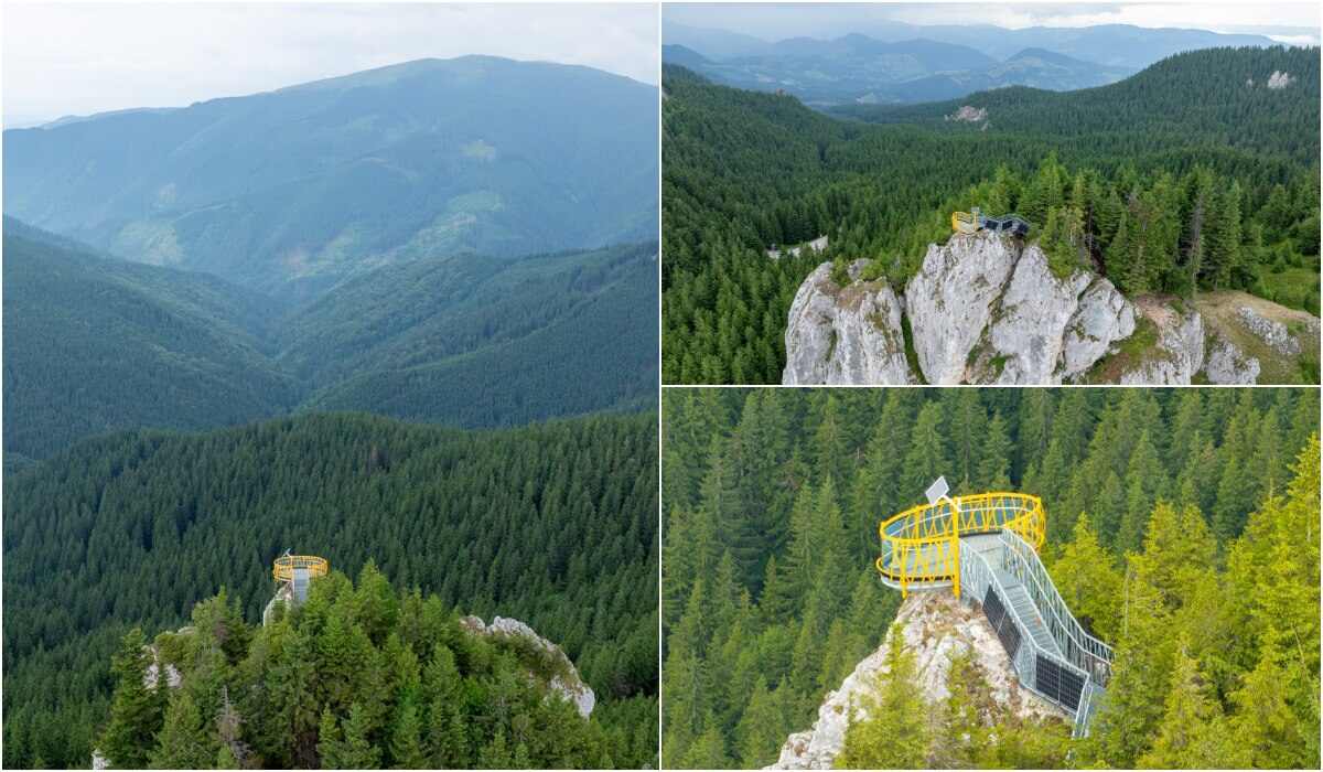 Rezervația Piatra Pinului, stâncărie și pădure în valea Moldovei