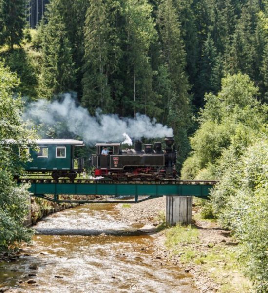 364156567_770362921540948_8972845986335096867_n-1024×683 364156567_770362921540948_8972845986335096867_n-1024x683