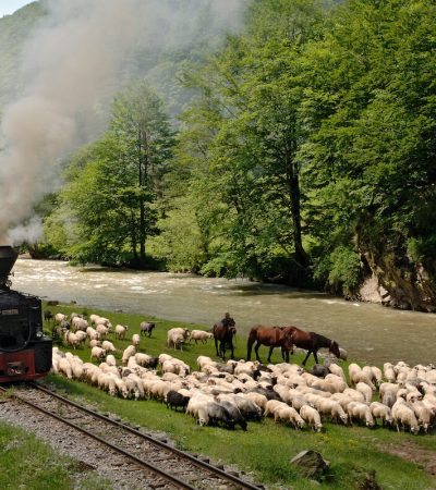 Mocanaița-Maramureș. Excursii in Romania cu arintur.md Transport Balti