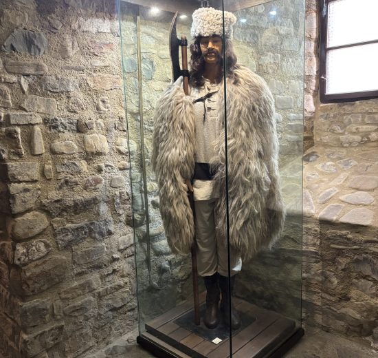 cetatea neamț excursii organizate în România cetatea neamț excursii organizate în România