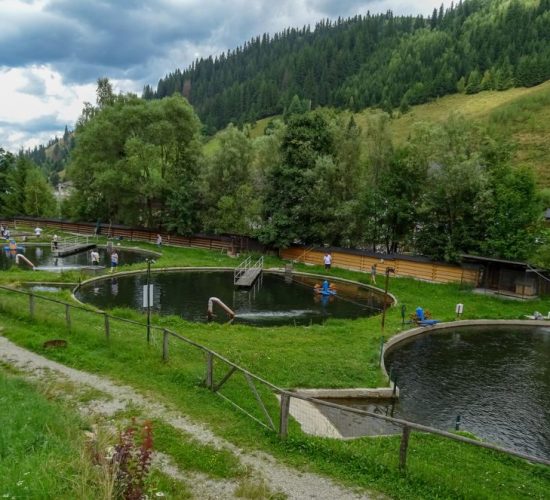 hanul-pastravarului-pojorata-rarau-transrarau-suceava-1-1024×663 Păstrăvăria Rarău – prânz local, în natură