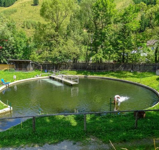 hanul-pastravarului-pojorata-rarau-transrarau-suceava-10-1024×643 Păstrăvăria Rarău – prânz local, în natură