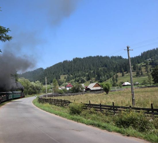 mocanita-hutulca-6 mocanita-hutulca-6