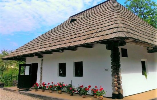 Casa Muzeu Ion Creanga Târgu-Neamț/ Humulesti casa muzeu Ion Creangă