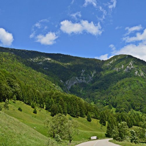 road-66a-5322586_1280 road-66a-5322586_1280